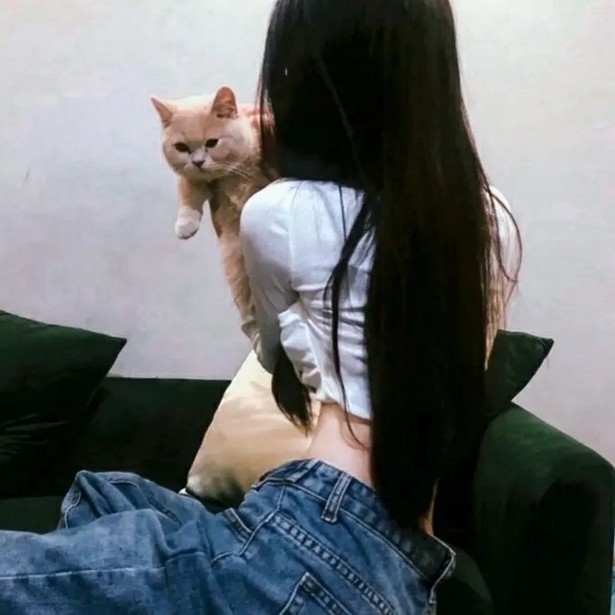 凡躯的福音 在线观看封面